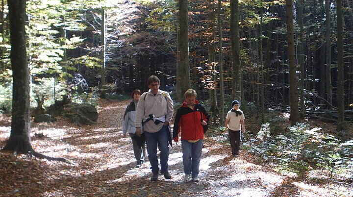 Familienausflug in den Bayerischen Wald | © Dambeck Michaela