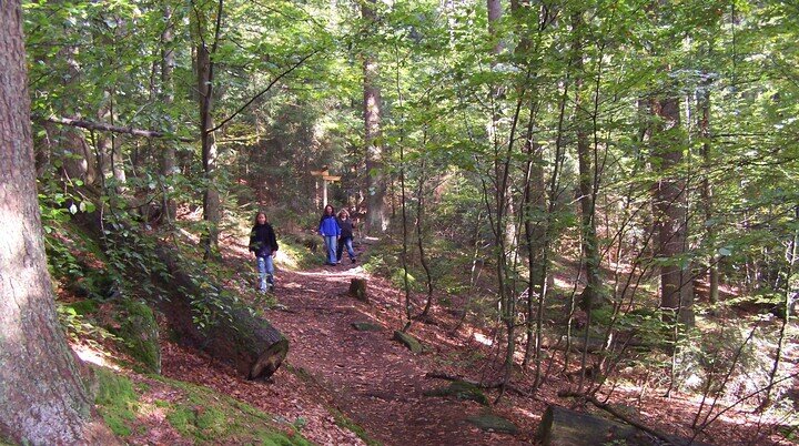 Familienausflug in den Bayerischen Wald | © Dambeck Micheala