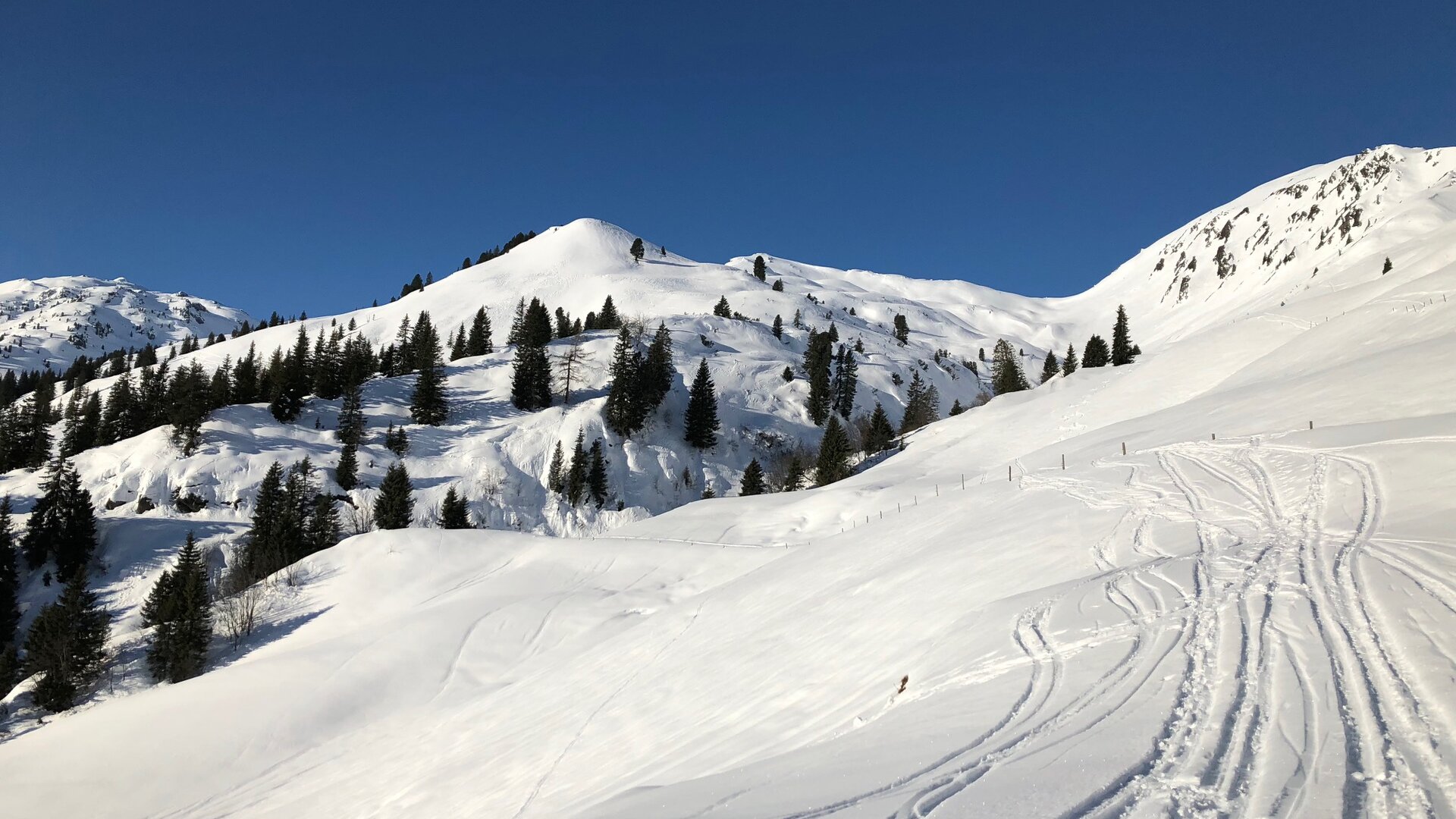 Niederkogel | © Schneider Susanne